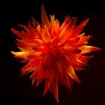 Art Works No1- Seattle-Glass By DChihuly I