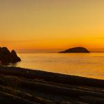 






Landscapes No3-Seattle-Whidbey Island