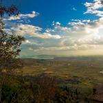 










Landscapes No12- Val diChiana-Italy